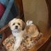 Tammy Deneau Matson - Facebook