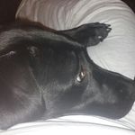 tammy matson persson - @tammymatsonpersson - Instagram