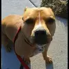 tammymatson193 - @tammymatson193 - TikTok