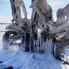 tammymattern295 - @tammymattern295 - TikTok