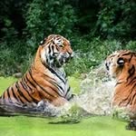 Tammy Maxey - @tammy.m42 - Instagram