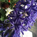Tammy Maxon - @tammy.maxon1643 - Instagram