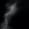 Tammy Maya - @tammy.maya6 - TikTok