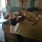 Tammy McBee - Facebook