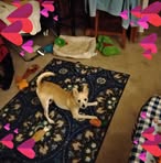 Tammy McCarty - Facebook