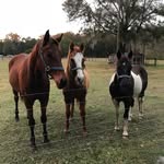 Tammy Mcclung - @mcclung_tammy - Instagram