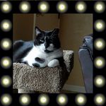 Tammy Edwards McCool - @edwardsmccool - Instagram
