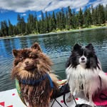 Tammy McCool - @sunshinebear22 - Instagram