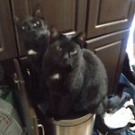 Tammy McCready Cowell - @719tj - Instagram