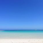 Tammy McEwan - @tammy.mcewan.9 - Instagram