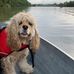 Tammy Perreault McFarlane - Facebook