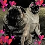 Tammy Taylor Mcfarlane - @wingwa10 - Instagram
