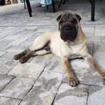 Tammy McGill - @tammy.mcgill.777 - Instagram