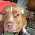 McGraw - @mcgraw.tammy - Instagram