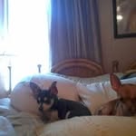 Tammy McManus - @mcmanus9636 - Instagram
