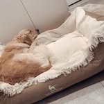 Tammy Mcmanus - @rysselonoki - Instagram