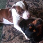 Tammy Mcmanus - Facebook