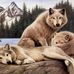 Tammy McMullin - Facebook
