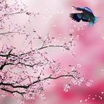 Tammy McNew - @tammy.mcnew.14 - Instagram