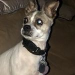 Tammy Meads - @tammy.meads.5 - Instagram