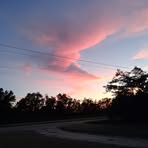 Tammy Mears - Facebook