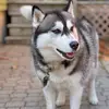 tammymeads255 - @tammym9 - TikTok
