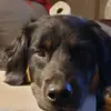 tammymeans5 - @tammymeans5 - TikTok