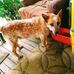 Tammy Meeks - Facebook
