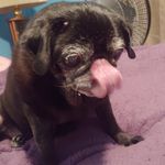 Tammy Meeks - @tammy.meeks.12 - Instagram