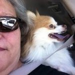 Tammy Metts - @tammyrmetts - Instagram