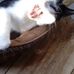 Tammy Metts - Facebook