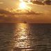 Tammy Midkiff Biser - Facebook