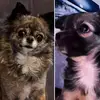 Dolly,Miley&Tammy - @dolly_miley_tammy - TikTok