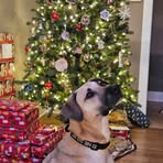 Tammy Miley - Facebook