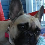 Tammy Millican - @tammy.millican.1 - Instagram
