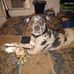 Tammy Milligan - Facebook