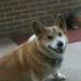 Tammy Milligan - Facebook