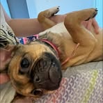 Tammy Milne - Facebook