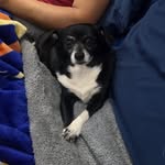 Tammy Milton - @tammy.elizabeth.1420 - Instagram