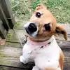 Tammy Minchew - @tammyminchew - TikTok