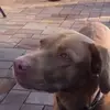 ❤️😜 - @tammy.pitti.mix.fp - TikTok