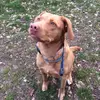 Tammy ❤️💫 - @tammy.labbi.pitti.mix - TikTok