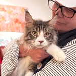 Tammy Mix - @mixtammy - Instagram