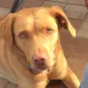 Tammy - @tammy.my.pitti.mix - TikTok