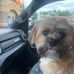 Tami Molitor - Facebook