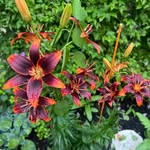 Tammy Moll - @tammymoll - Instagram