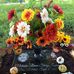 Tammy Morelock - Facebook