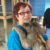 Tammy Morrissey - @tmorrissey63 - TikTok