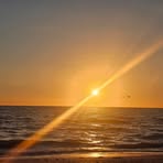 Tammy Morse - Facebook