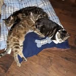Tammy Mount - @tam.my1972 - Instagram